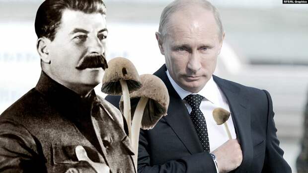 Эти светлоликие "микологи" даже на судьбоносном фото грибы перепутали - это не бледная поганка, а копринус-навозник - слабо токсичный