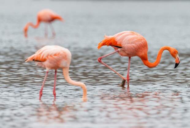 DSC_6155 DSC_6155