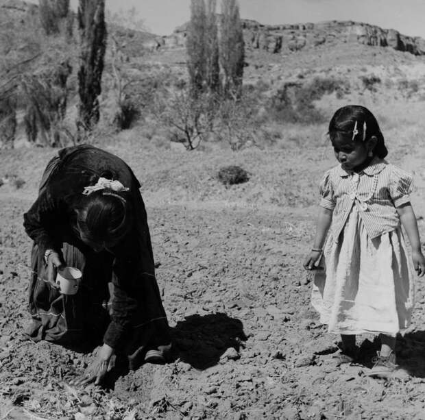 Мать и дочь делают весенние посевы. Туба, Аризона, 1948 индейцы, история, навахо, фотография