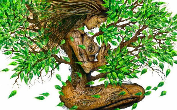 Рисуночный тест «Мое дерево», изображение №1