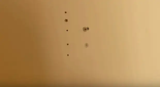 Шуруп в стене из гипсокартона. Шуруп в стене из гипсокартона.