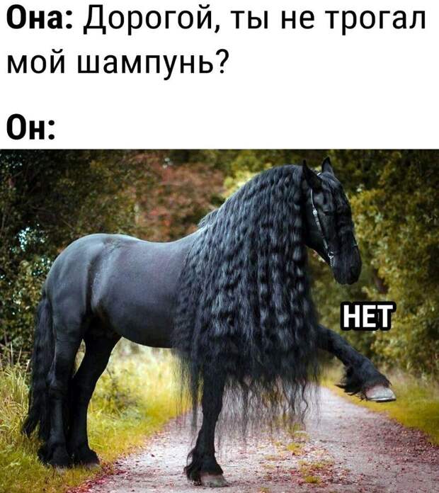 прикольные картинки ржачные (15)