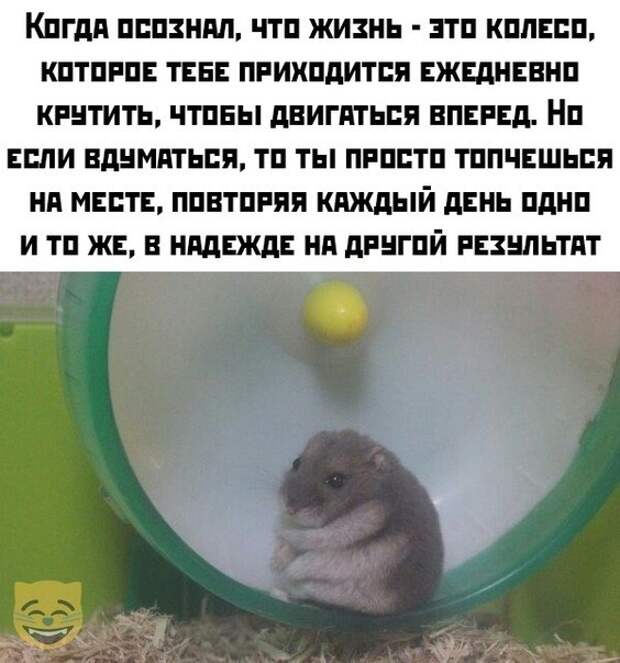 Картиночки