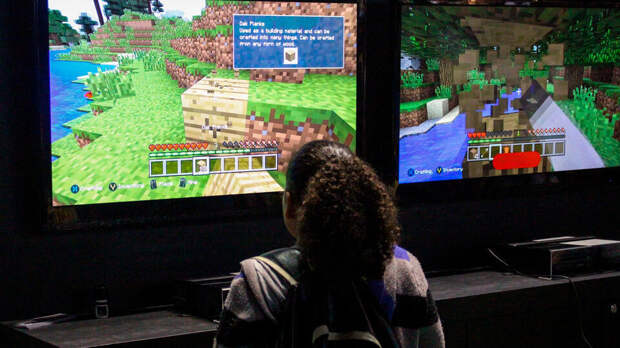 Роскомнадзор не получал решений о блокировке Minecraft