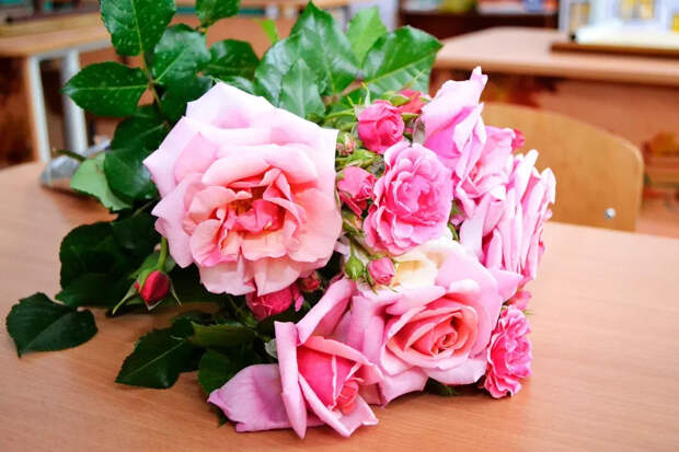 Мошенники придумали ловушку с "подарком на день рождения": как не стать жертвой