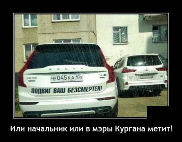 Демотиваторы 1 ноября 2021 года