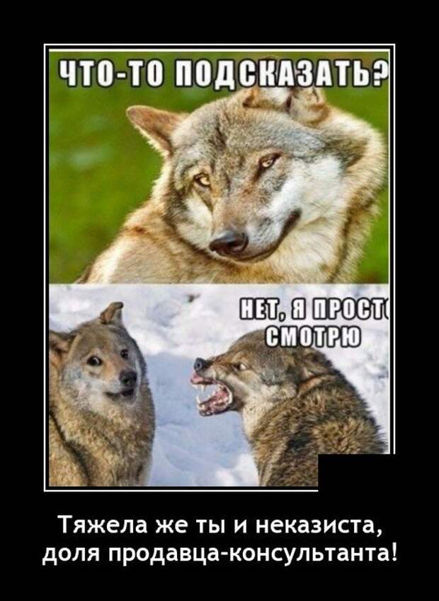 Демотиватор про консультантов