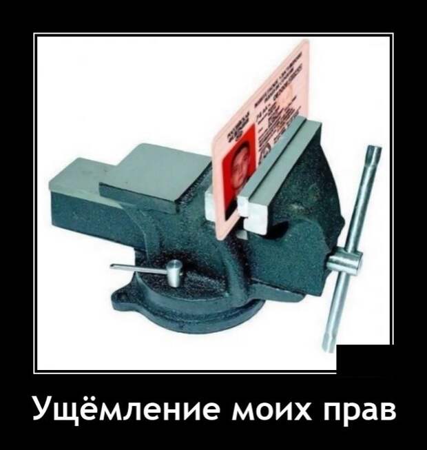 Демотиваторы 9 июня 2021
