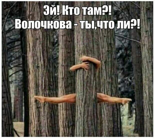 Ржачные до слез свежие картинки с надписями (вторник)