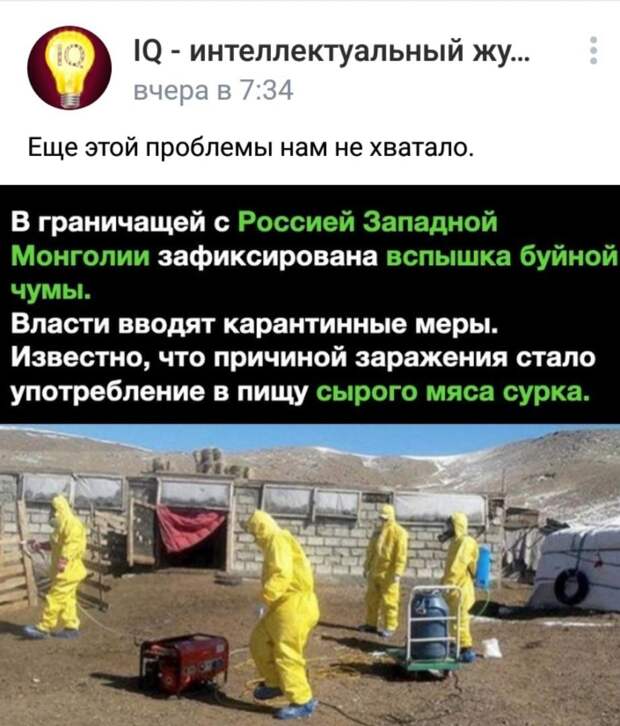 Буйной чумы нам только не хватало