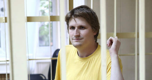 Синица блоггер