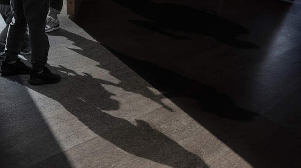 Похищенную в Смоленске девятилетнюю девочку вернули матери