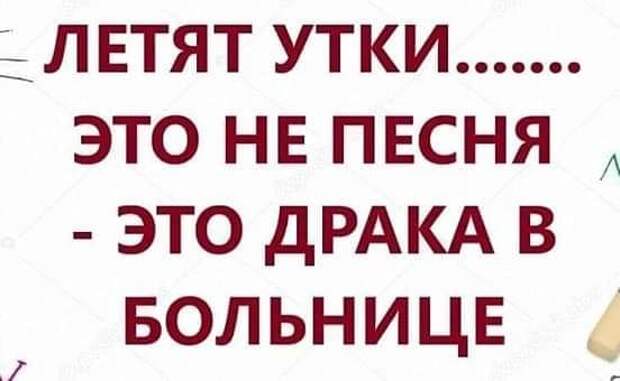 Звонок в ветеринарную клинику:- Здравствуйте, у нас заболела собачка!...