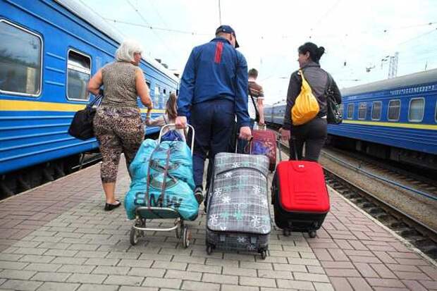 Повальное бегство: украинские медики массово уезжают в Польшу | Русская весна