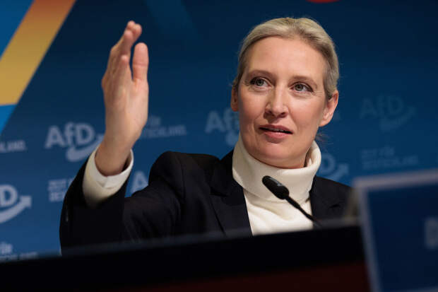 Депутат Вайдель: конфликт на Украине должен был закончиться давным-давно