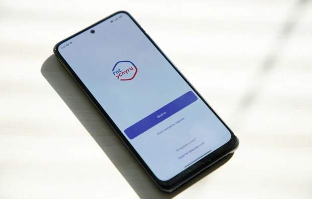 Туляки могут проверить задолженности у судебных приставов на "Госуслугах"