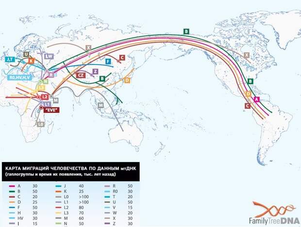 По женской линии человечество можно отследить дальше, чем по мужской