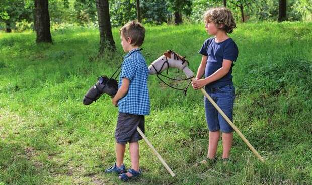 Исследовать близлежащую поляну Федя и Миша решили верхом вместе со своими лошадками.