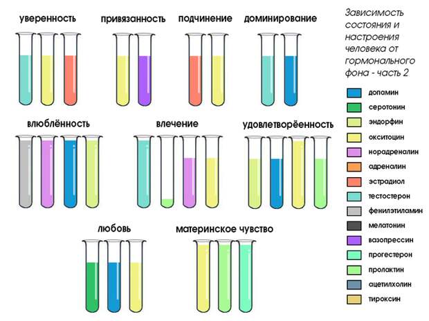 Связь между гормонами и эмоциями