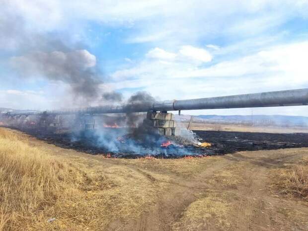 Сухая растительность горела в окрестностях Чернышевска