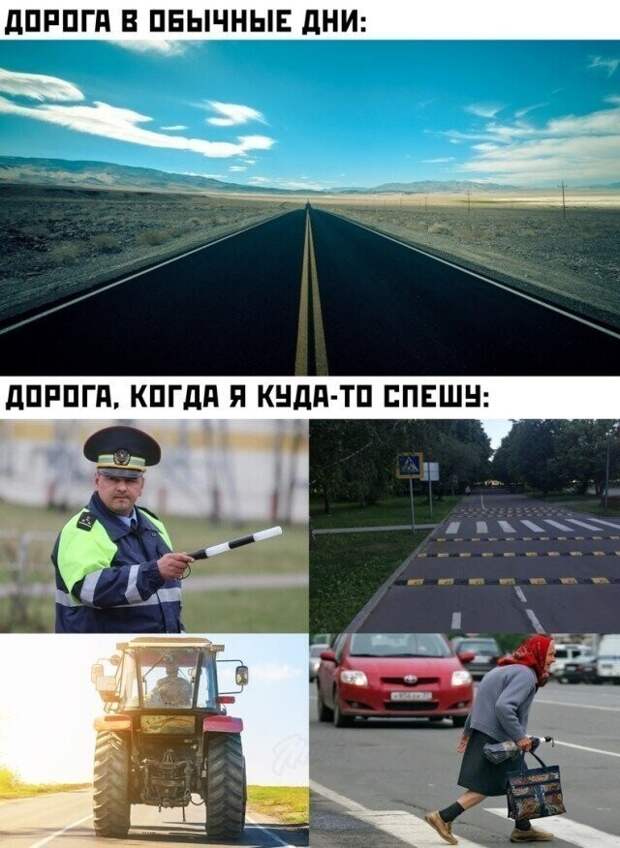 45 смешных фото для тех, кто внезапно загрустил