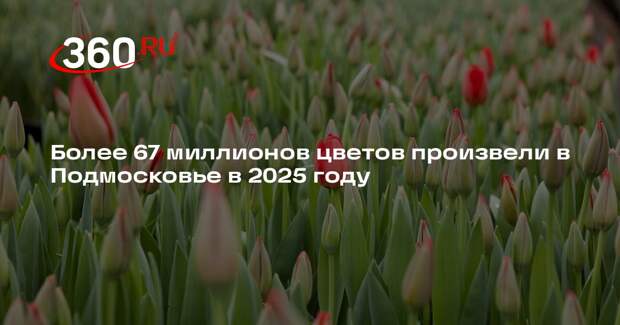 Более 67 миллионов цветов произвели в Подмосковье в 2025 году