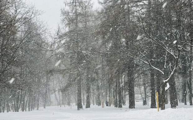 Циклон несет в Рязанскую область мощную оттепель и очередной сильный снегопад
