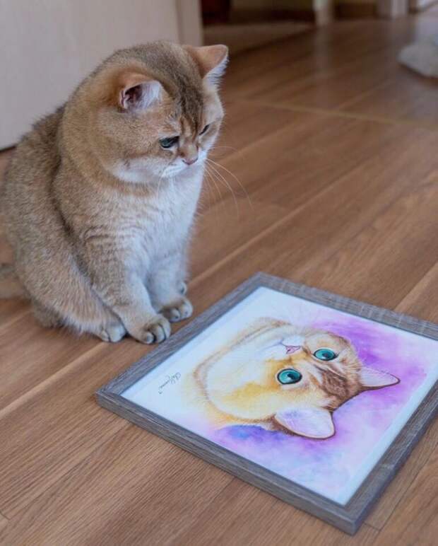 Интересные фотографии со всего мира