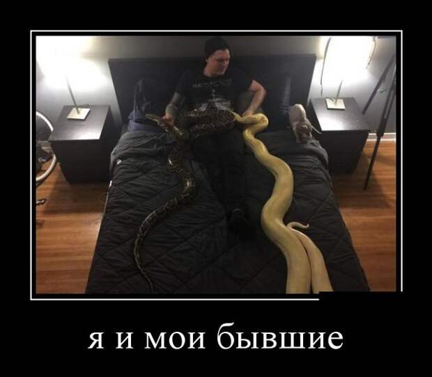 Демотиваторы (30 фото)