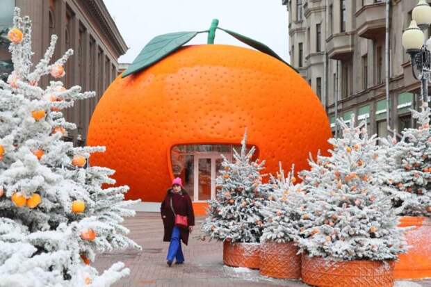 От сорта до проверки свежести: как выбрать спелые и сладкие мандарины