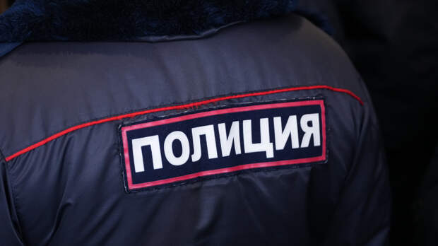 Похищение или несчастный случай? Что случилось с девятилетней девочкой в Смоленске