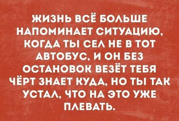 Несколько ироничных остроумных фразочек в картинках для отличного настроения