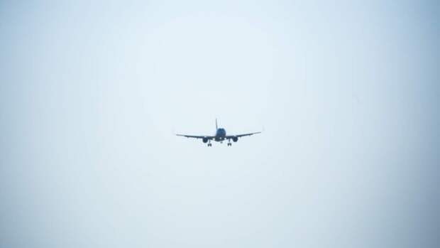 Самолет Utair Дубай — Москва вернулся в аэропорт после сигнала бедствия