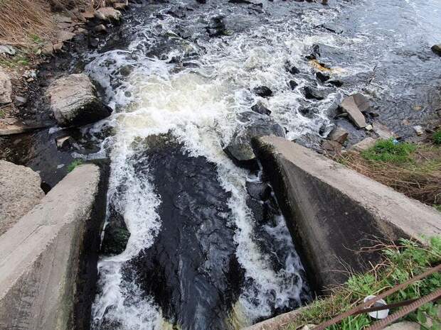Депутат Госдумы Рябцева раскритиковала реализацию нацпроекта в Забайкалье