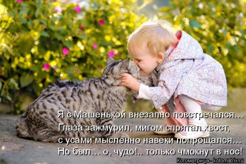 Свежая и прикольная котоматрица (32 фото)