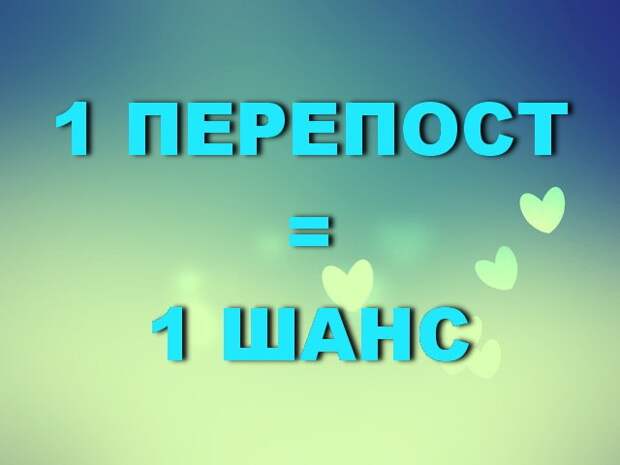 Когда-то у неё было домашнее прошлое, потом она пережила все испытания бездомыша...
