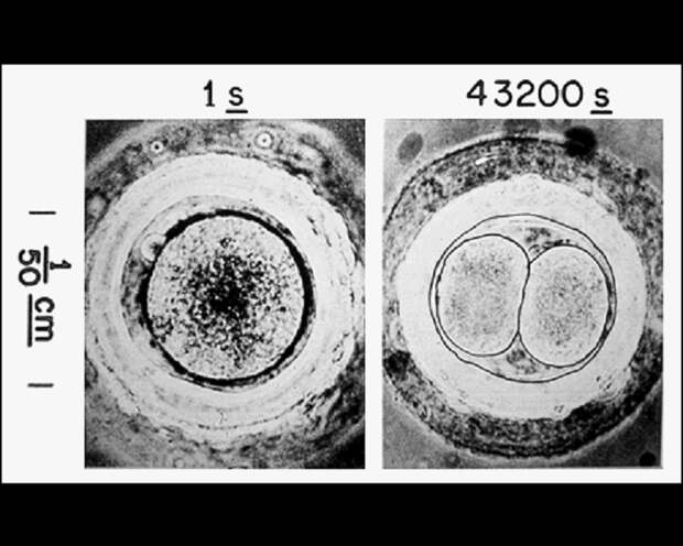 Фото с Земли, которые обязательно должны увидеть инопланетяне