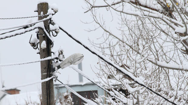 Жители нескольких округов Подмосковья остались без света из-за непогоды
