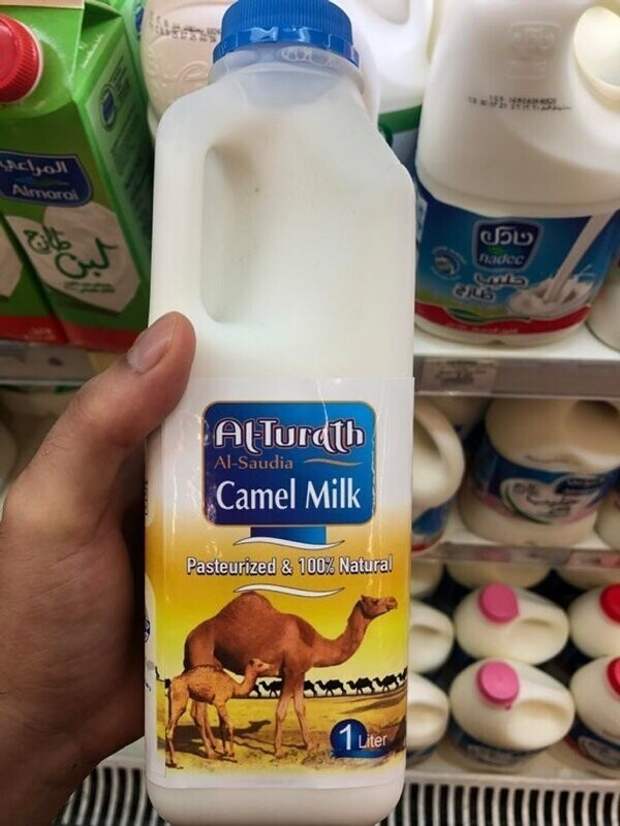 16. В Саудовской Аравии в супермаркетах продается верблюжье молоко