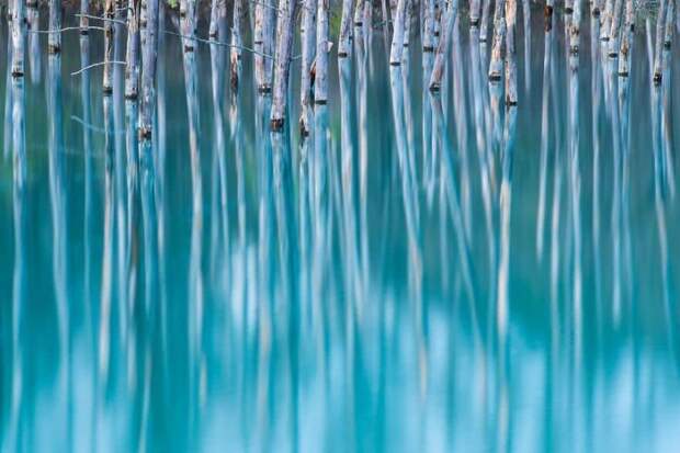Лучшие фотографии природы National Geographic 2017 Лучшие фотографии природы National Geographic 2017