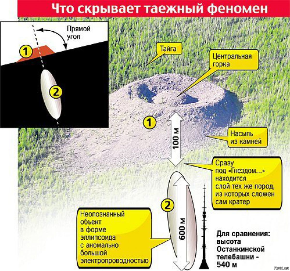 konus-kolpakova-6