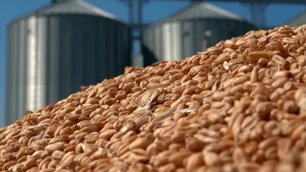 украина: признак голода