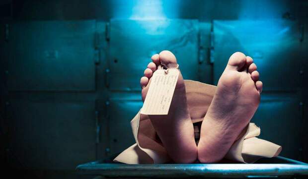Страшная история из Петербурга: пациенты пришли на рентген и погибли | Русская весна