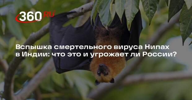 Эпидемиолог Покровский объяснил, грозит ли распространение Нипаха пандемией