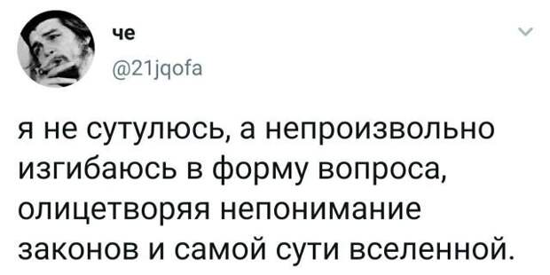 твит про форму вопроса