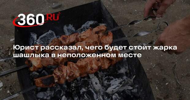 Юрист Ведышева: за жарку шашлыка в неположенном месте грозит штраф 15 000 рублей