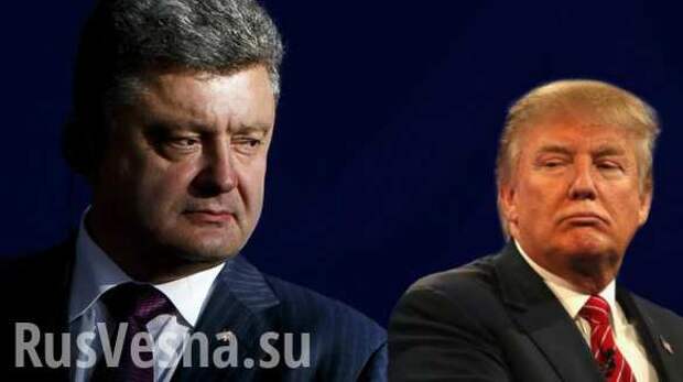 Трамп на встрече с Порошенко заявил о «вовлеченности» в дела Украины (+ВИДЕО) | Русская весна