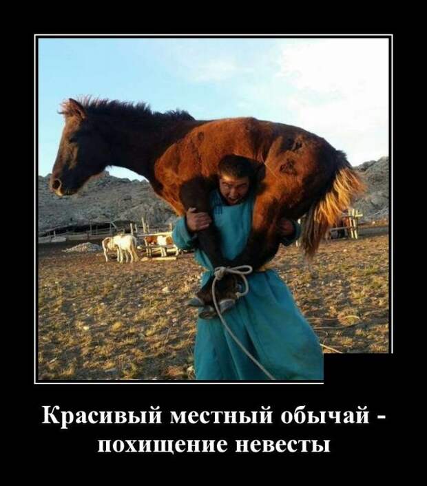 Демотиватор про похищение невесты