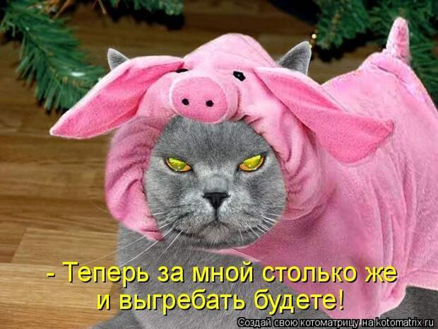 Мысли вслух :)