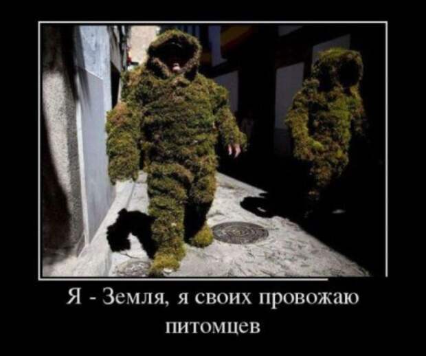 Демотиваторы (30 фото)